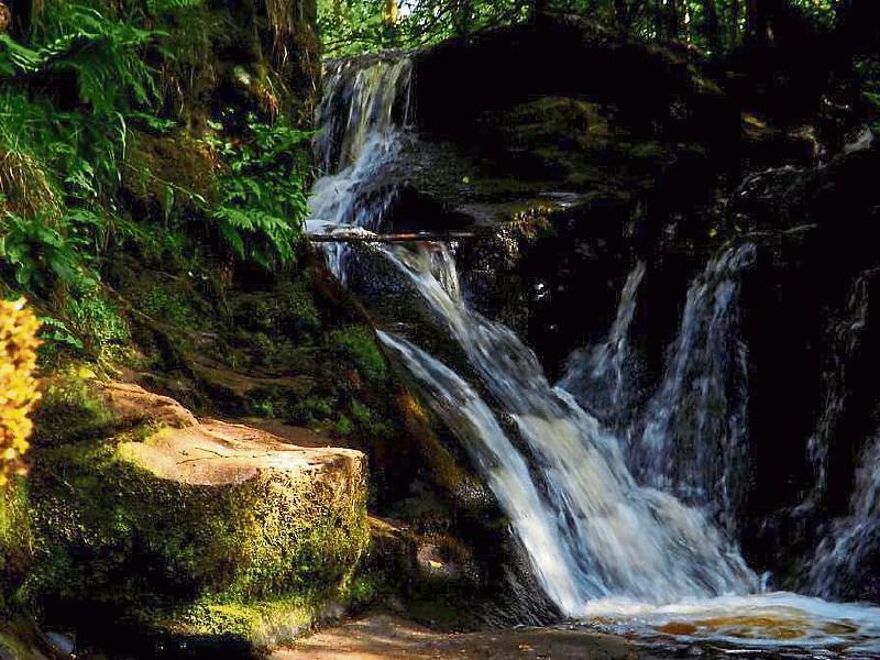 Offaly to feature in events marking the 'Year in Geography'