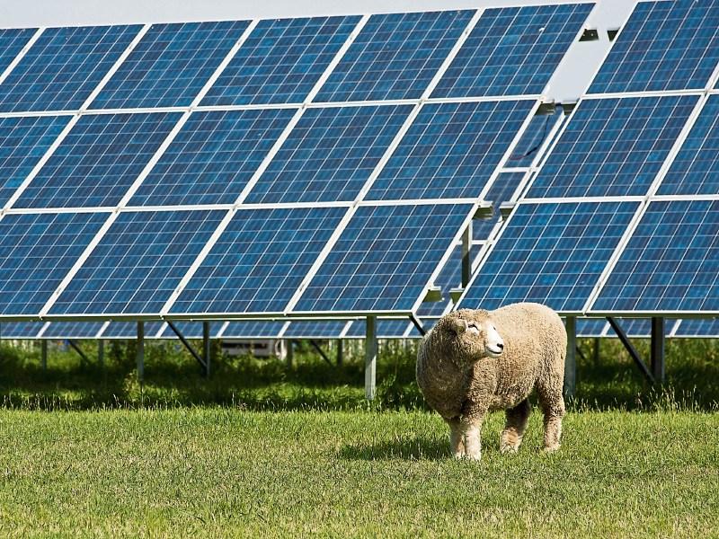 Offaly Solar Farm