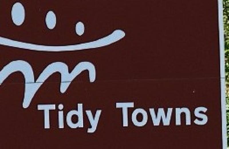 Tidy Towns Offaly