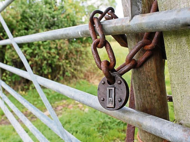 Crime, Laois, politics, gardaí, gangs farming