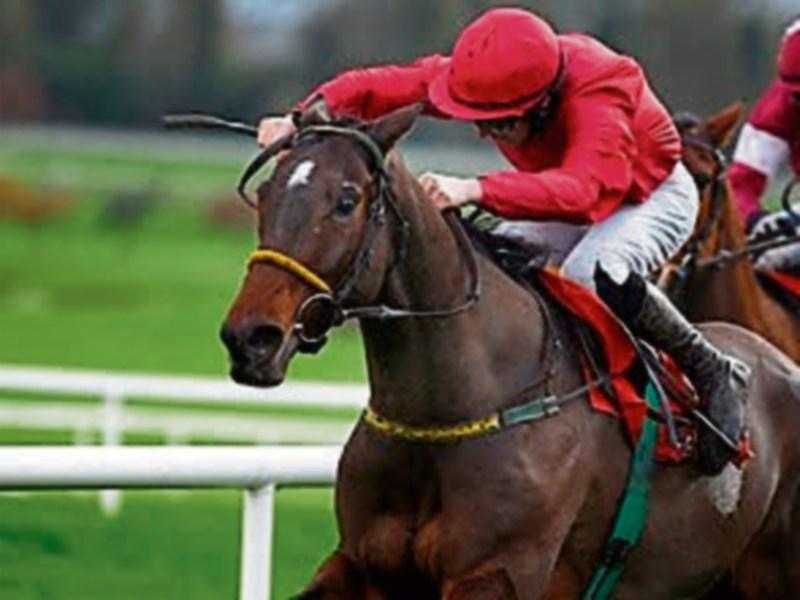 All the results from the Easter Bank Holiday Monday meeting at Fairyhouse