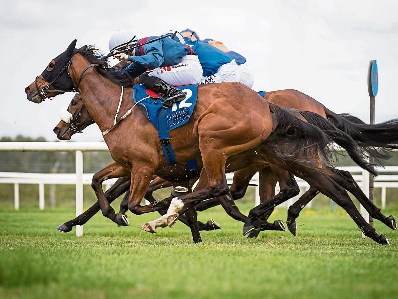 Rates category plea for Kildare's racing industry