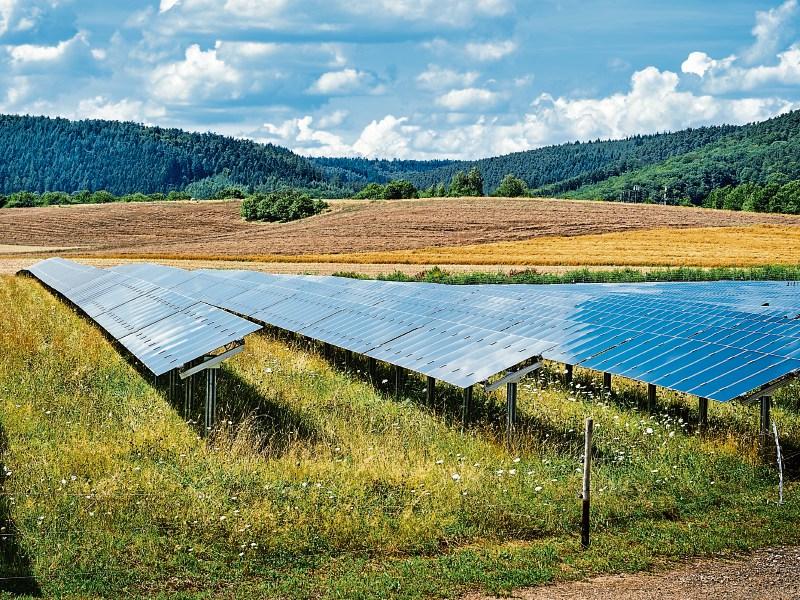 Massive solar farm plans for Kildare announced