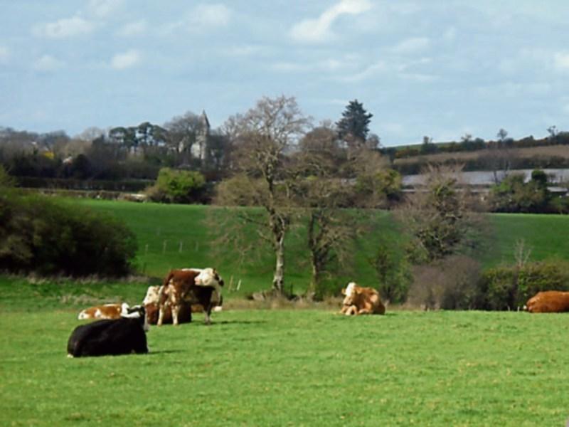 Farm safety