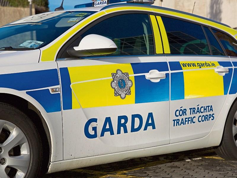 Man spat in garda patrol car after arrest at Portarlington train station