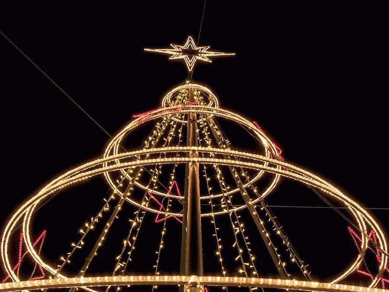 Creating our own Seasonal Celebrations with Emma Coonan