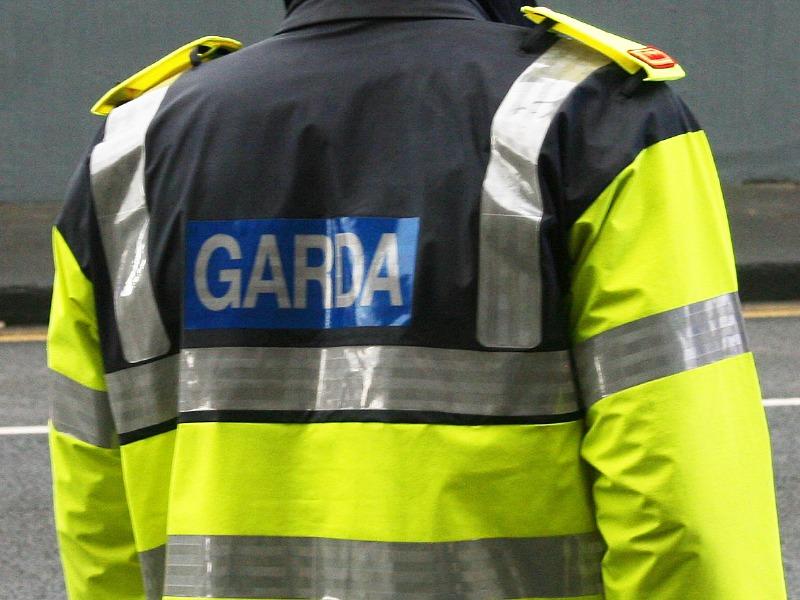 Garda&iacute; investigating after shotgun stolen from car in Edenderry 