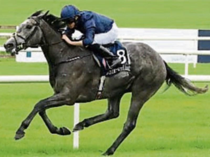 York horse racing tips: Three horses worth backing at York and the Curragh on Friday