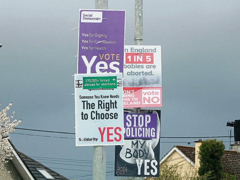 Green Party call for future restrictions on referendum posters 