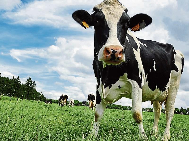 1,517 farmers in Tipperary receive almost €7-million in ACRES payments