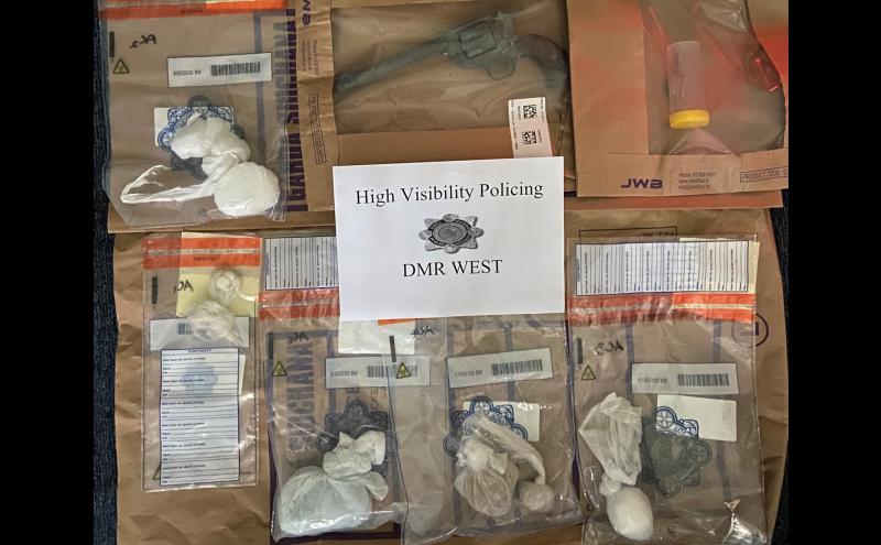 Over €21,000 worth of drugs and a firearm seized by gardaí in search