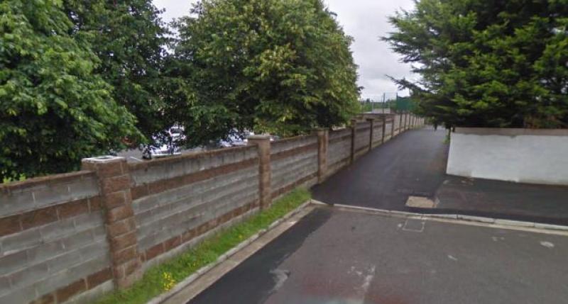 Man allegedly slashed in the face during terrifying Offaly robbery