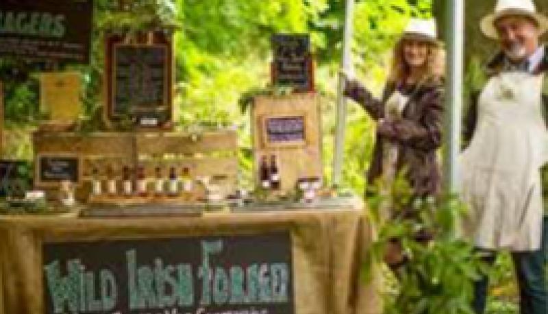 Offaly Company Wild Irish Forager&rsquo;s & Preservers have been crowned Jams & Savoury Producer of the Year at the Good Food Ireland Awards