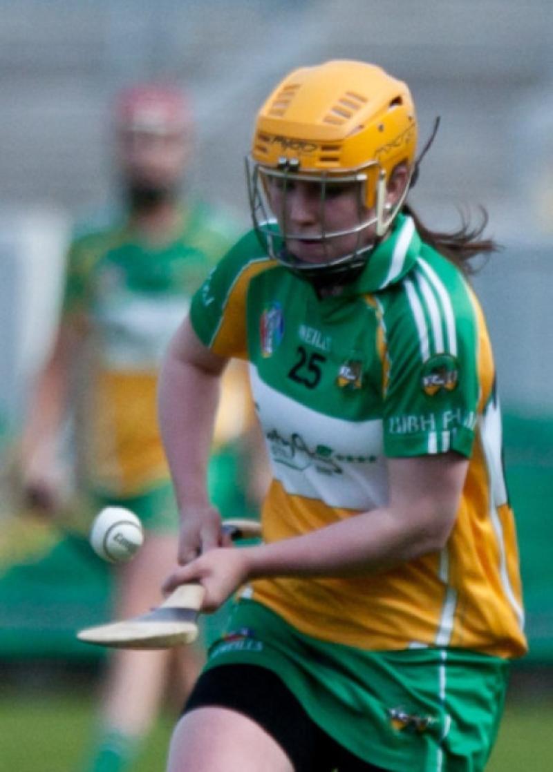 Offaly's Jean Brady showing a clean pair of heals too Dublin's Ciara Berkeley during their Irish Daily Star National Camogie League Division 1 match in O'Connor Park, Tullamore. Picture: Ger Rogers/HR Photo.