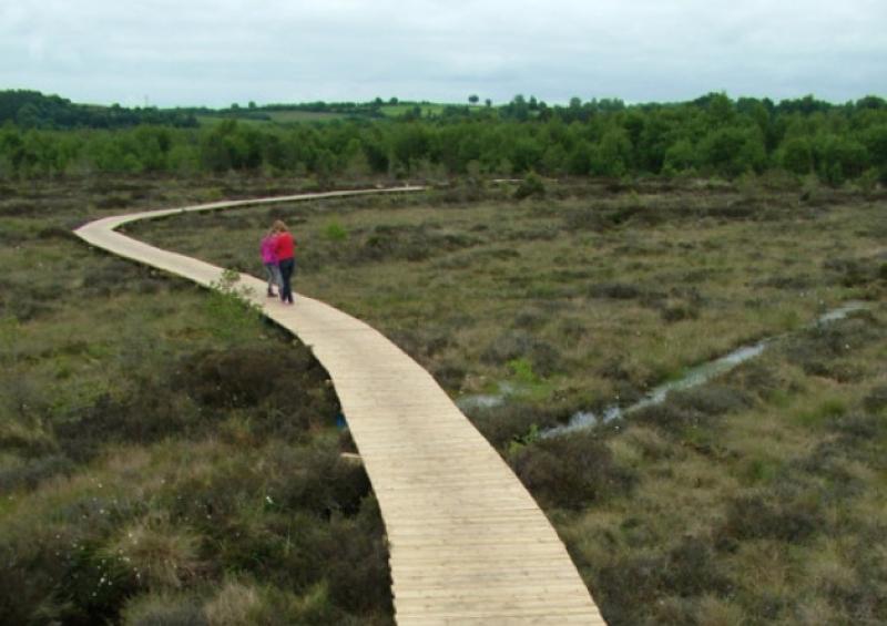Humphreys announces plan to turn Irish bogs into 'ideal locations for recreational use'
