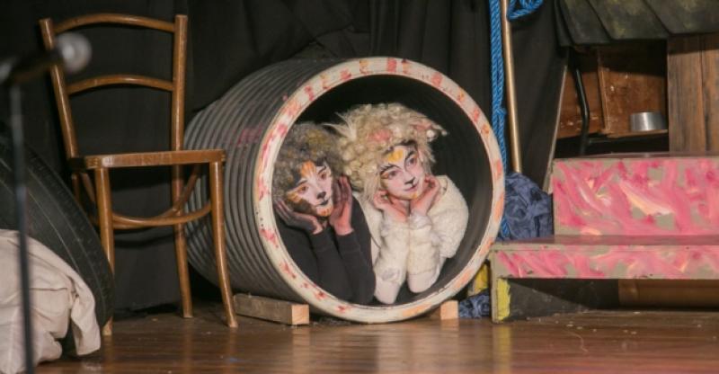 You can find cats anywhere as can be seen by these two in a pipe during Cats the Musical in Callan last week. Photo: Pat Moore.