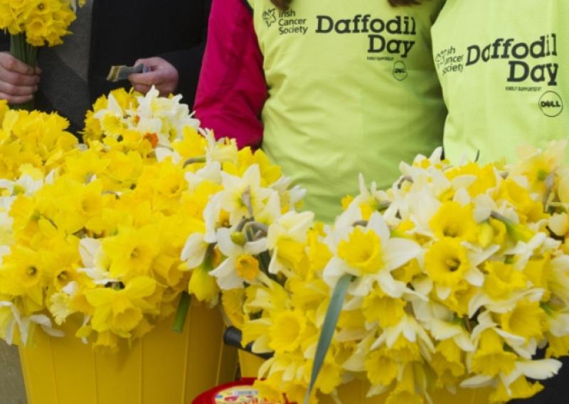 Appeal for Offaly people to support Daffodil Day
