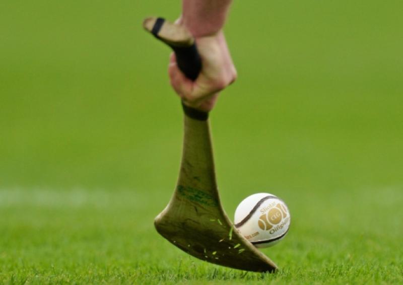 St Sinchills Camogie Club Notes (January 30)