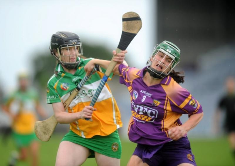 **no repro fee**  3 Aug 2013   Arlene Watkins, Offaly, in action against Noeleen Lambert, Wexford. Liberty Insurance All Ireland Senior Camogie Championship quarter-final, Wexford v Offaly, O'Moore Park, Portlaoise, Co Laois. Picture Credit: Caroline Quinn