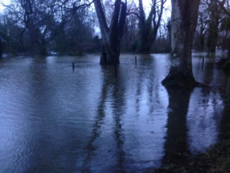 flooding tipp