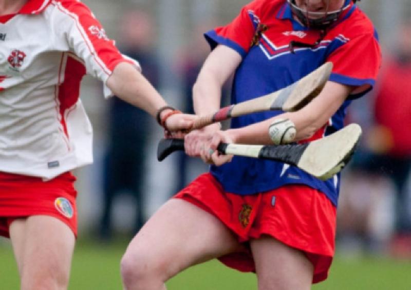 Drumcullen camogie notes