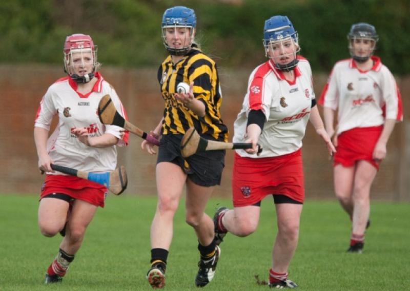 Camross's Olga Parkinson coming away with possession from Shinrone's Christine Cleary and Grainne Egan during the AIB Leinster Intermediate Club Camogie Championship semi-final in Shinrone. Picture: Ger Rogers/HR Photo.