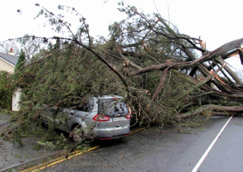 A mother with three of her children and their grandmother had a miracle escape when this very large tree was blown on to the car in which they were travelling at Block Rd., Portlaoise at the height of the storm on Wednesday evening, Collette Brennan from Ballylinan, was accompanied by her mother Mary and three of her children,Ella 12, Eoin 8 and 13 week old Ollie- Liam, at the time and although very shocked were able to exit the vehicle.