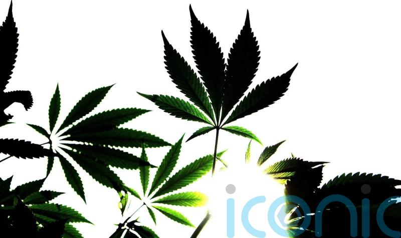 Growing expectation of Irish citizens’ assembly on drug use this year