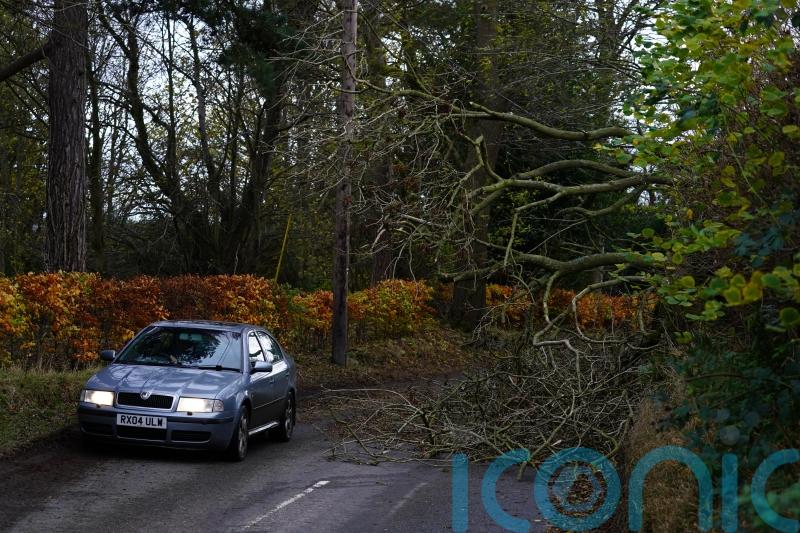 ADVICE: How to stay safe behind the wheel in stormy conditions