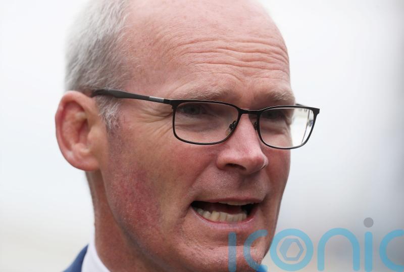 Simon Coveney rules out Ireland expelling Russian Ambassador 