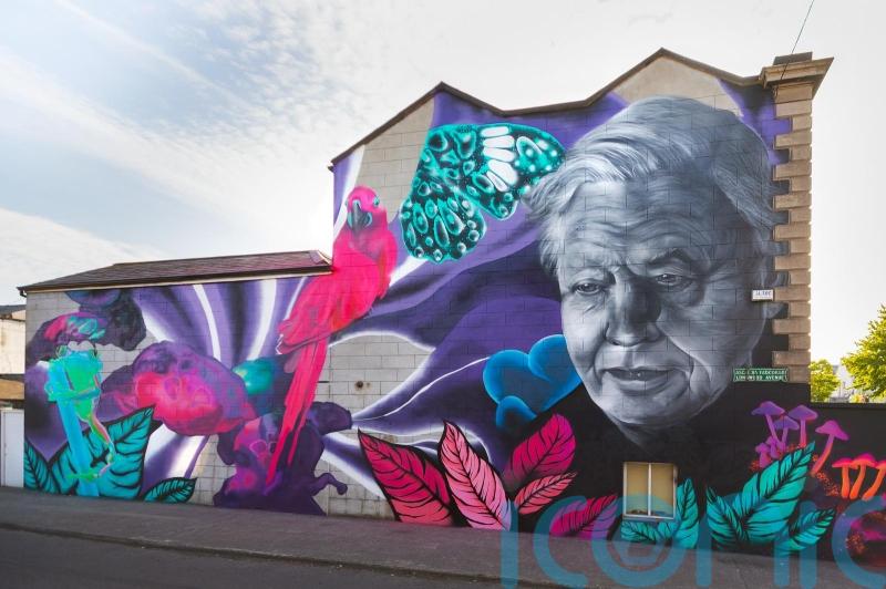 Street artists to make documentary about court battle with Dublin city council