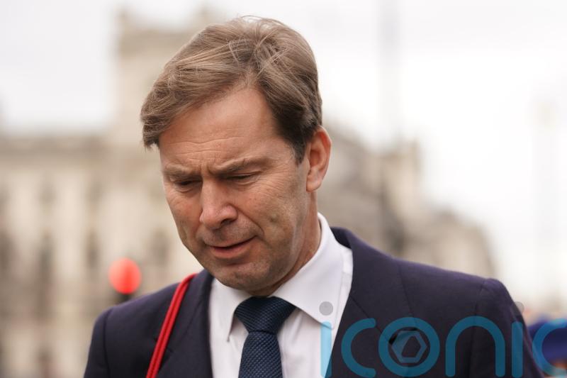 Senior Tory under fire for arguing UK should rejoin EU single market