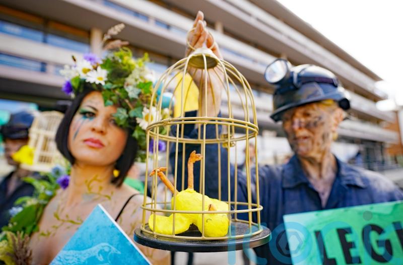 Campaigners picket ‘talking shop’ biodiversity conference