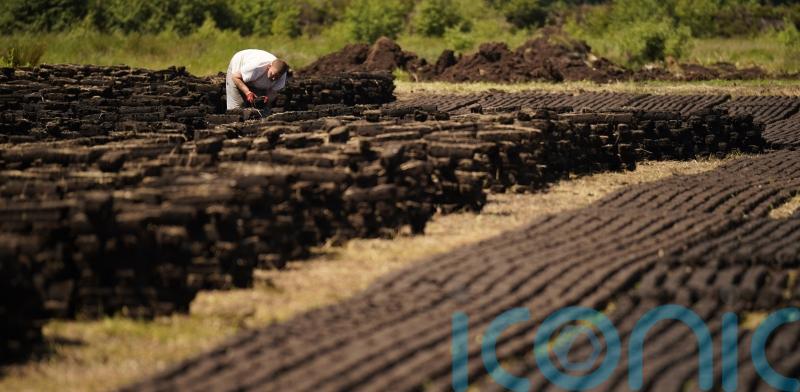 Targets to be set for cutting emissions in key sectors of Ireland’s economy