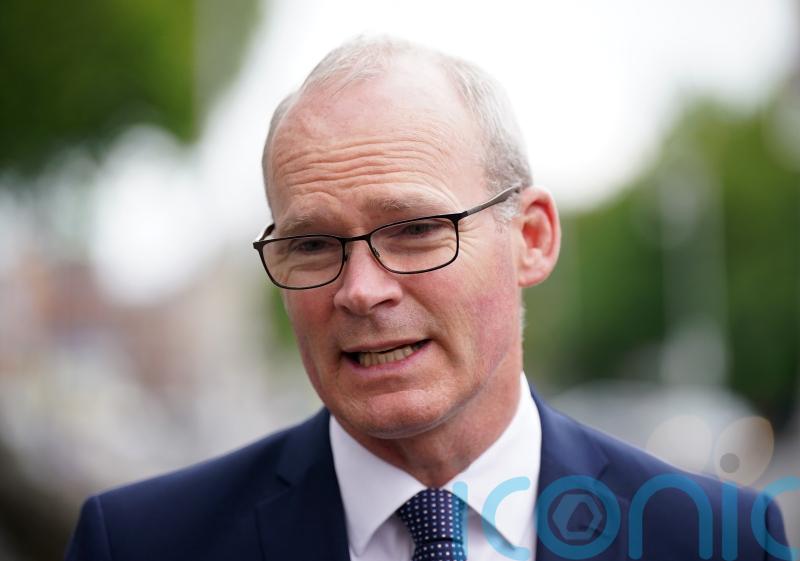 Partnership not provocation needed for NI Protocol negotiations, warns Coveney