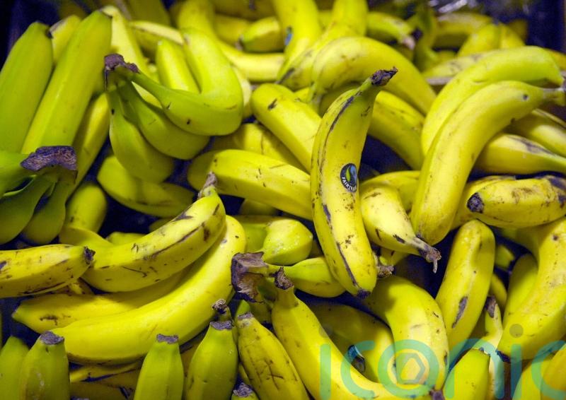 European study reveals potassium-rich foods reduce negative effect of salt in women's diets 