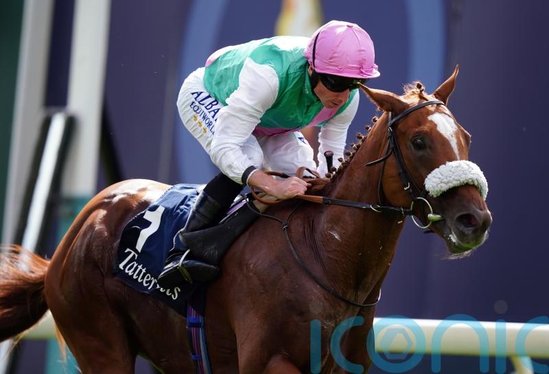 Exciting colts set for informative Champagne Stakes