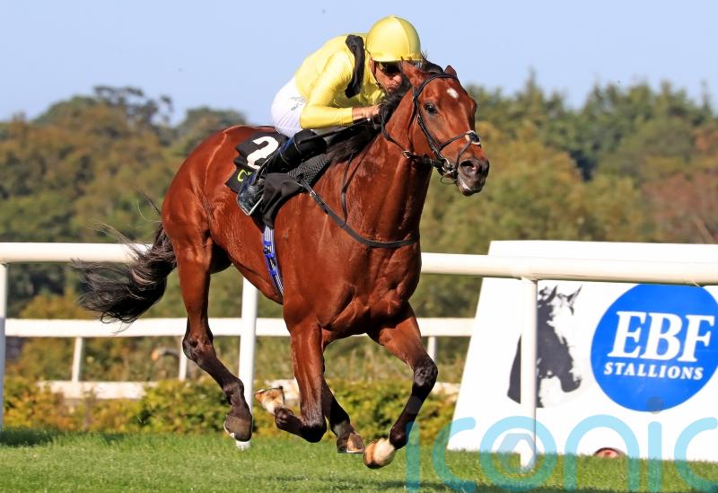 Jadoomi could have earned QEII tilt with Leopardstown victory
