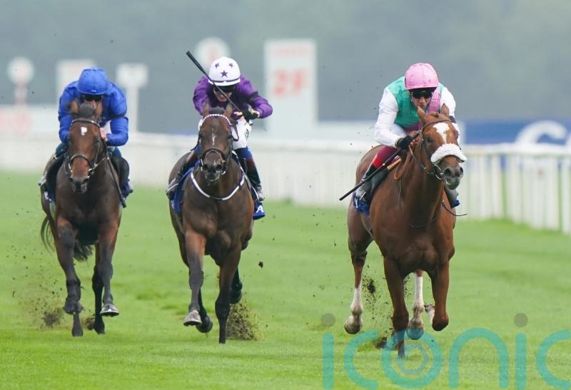 Chaldean enhances reputation in Champagne Stakes