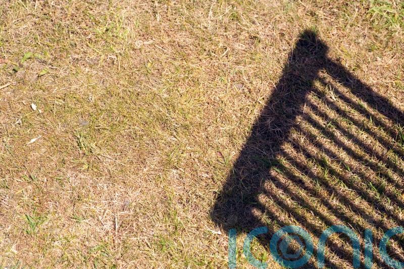 How to revive your lawn after summer
