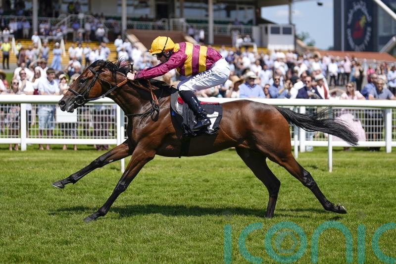 Varian hoping to see the best of Bayside Boy at Sandown