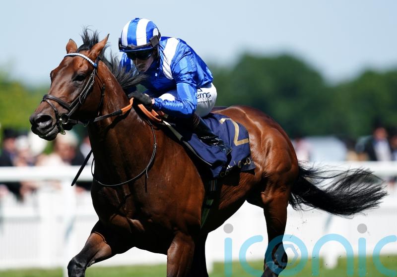 Baaeed team content with decision to resist Arc temptation
