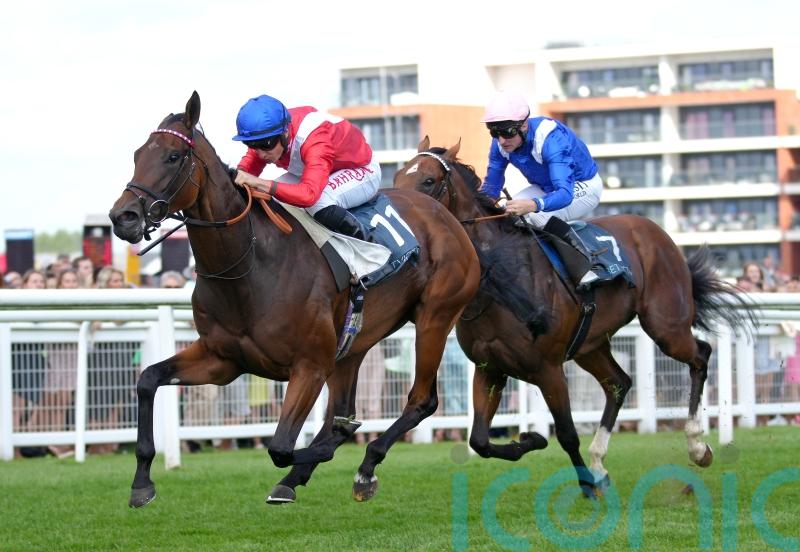 Sacred ‘in a better place’ but Newbury could be final run