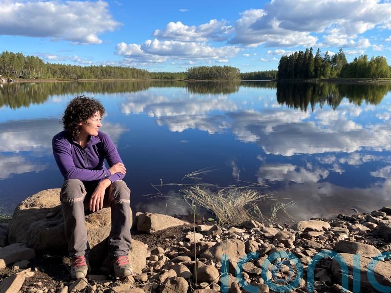 Ancient trees, affable huskies and mountain-top saunas make Sweden’s Dalarna region a glorious autumn break