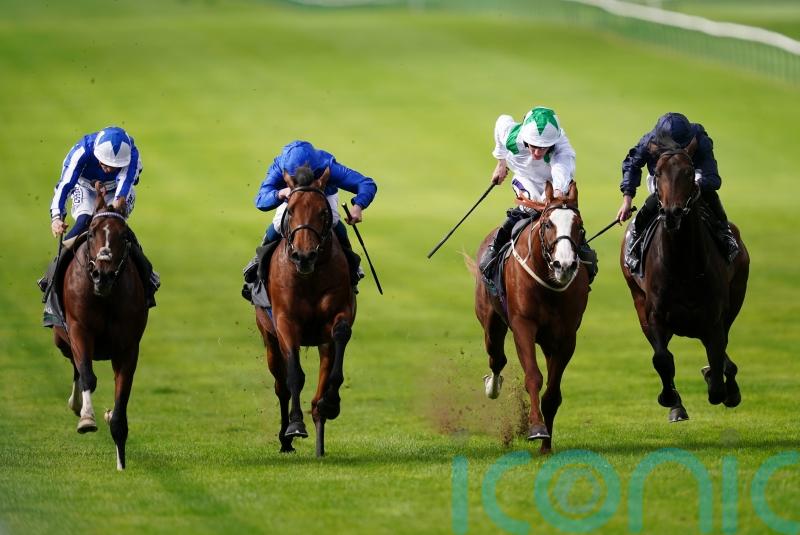 The Foxes springs a surprise in Royal Lodge