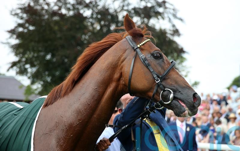 10 memorable Stradivarius races from a stellar career