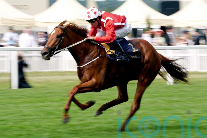 Dirty scope puts Saffron Beach Breeders’ Cup plan on hold
