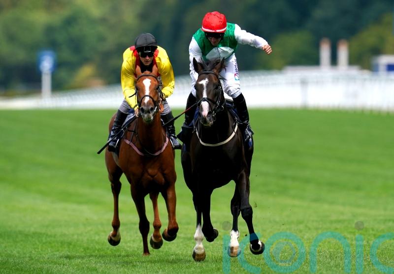 No Breeders’ Cup bid for Pyledriver