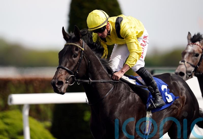 Haggas still harbouring Champions Day hopes for Maljoom