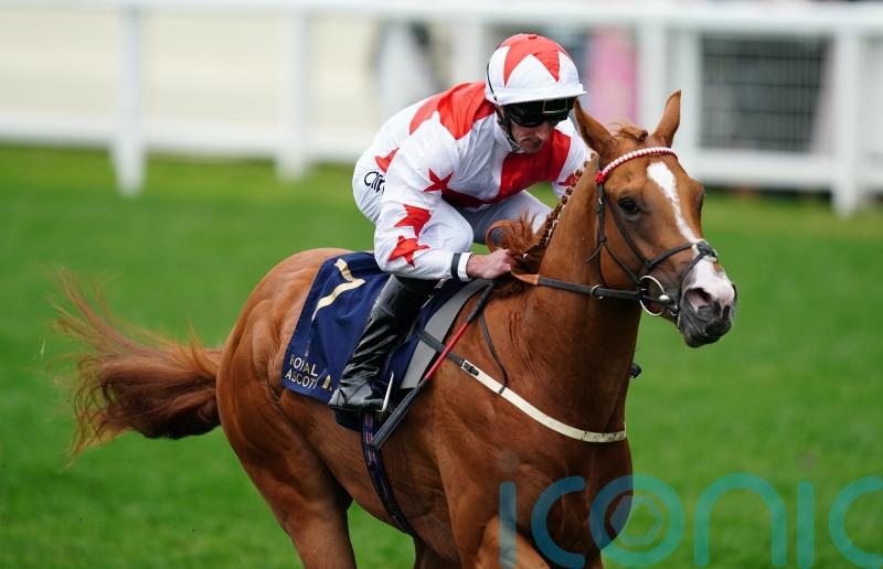 Burke banking on step up in trip suiting Holloway Boy